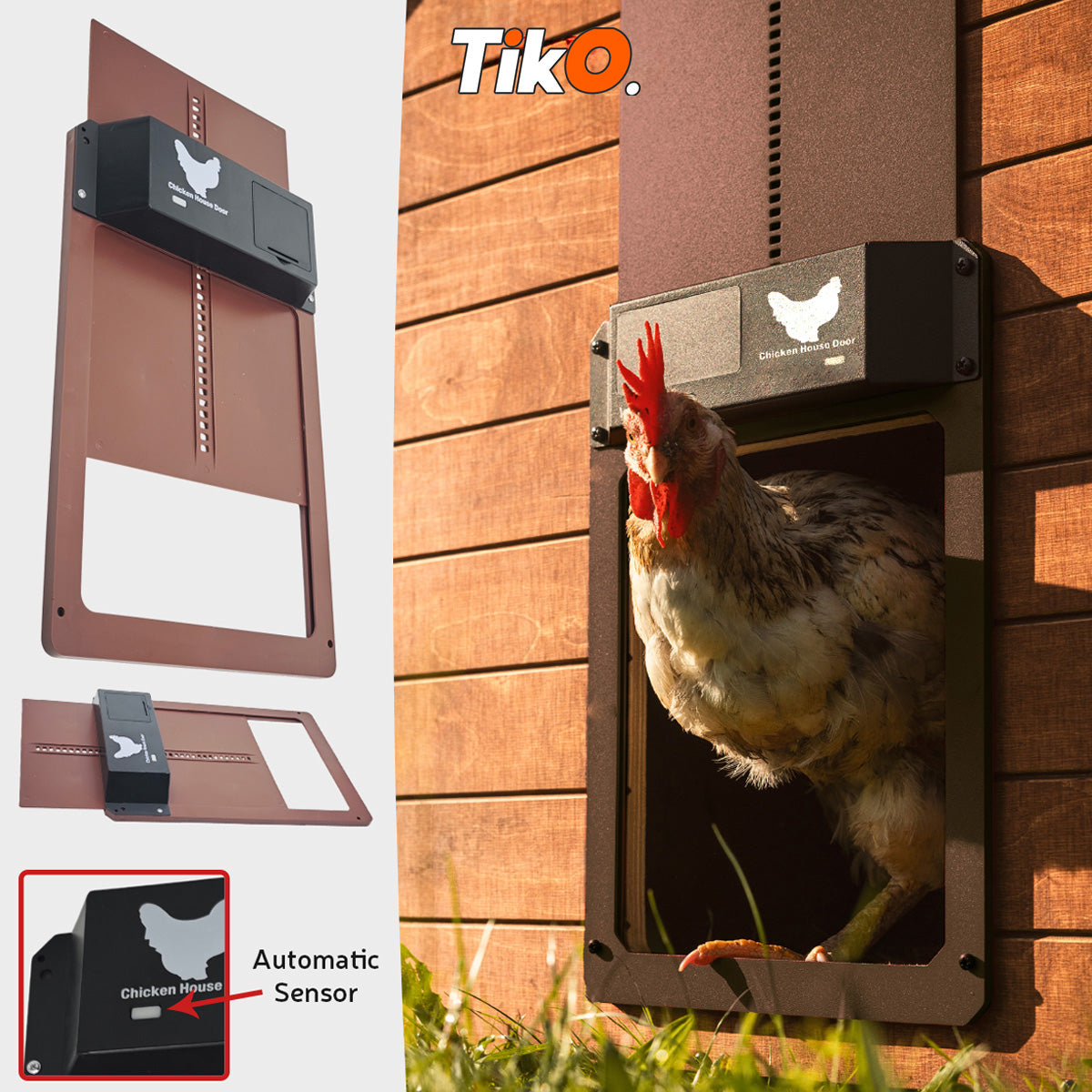 AUTOMATSKA VRATA ZA KOKOŠINJAC