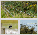 BODLJIKAVA ŽICA 100M