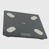 PAMETNA BLUETOOTH VAGA