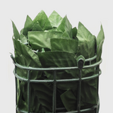 OGRADA OD VEŠTAČKE TRAVE 300x100 CM